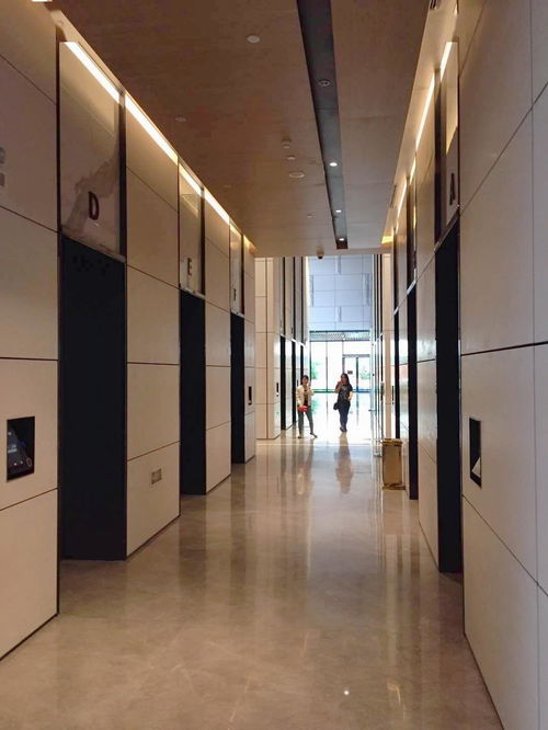 2019年广西建筑装饰工程优质奖 精品工程┃广西九洲国际项目大堂装饰装修工程