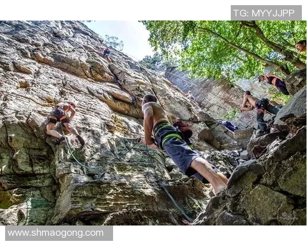 极限运动战术解析：武汉极限运动队的创新防守体系研究与实践