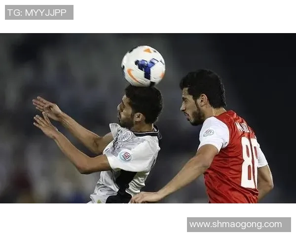 日本与卡塔尔在港澳盘口的精彩对决分析与预测