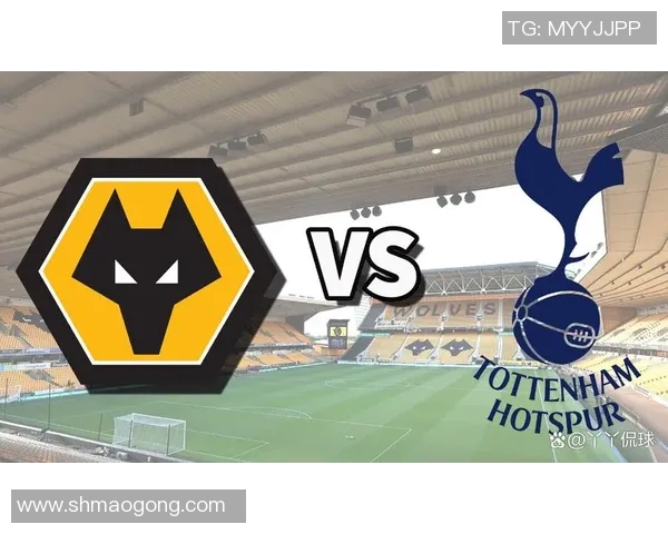 热刺与狼队对决前瞻分析及比赛结果预测详解