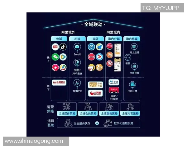 自由人对抗天猫的电商之战：谁能赢得消费者的心与市场的未来