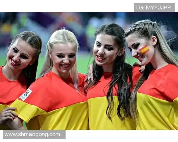 芬超与丹超实力对比分析揭示北欧足球的竞争格局与发展潜力