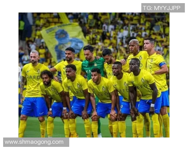 罗马尼亚与黑山激战正酣比分揭晓引发球迷热议