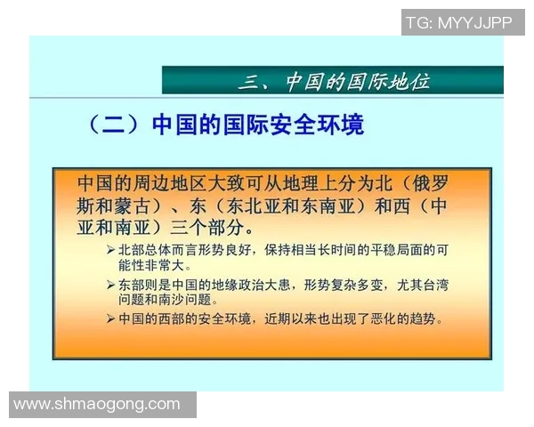 赖斯在国际舞台上的崛起与影响力分析及其未来发展趋势探讨